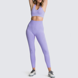 Seamless Gym Set Nylon Woman Sportswear 2 Piece Exercise Leggings