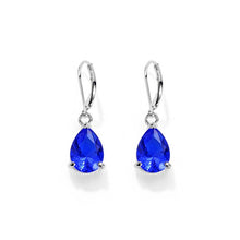 Load image into Gallery viewer, Fashion Designs Drop Earrings For Women Multi color
